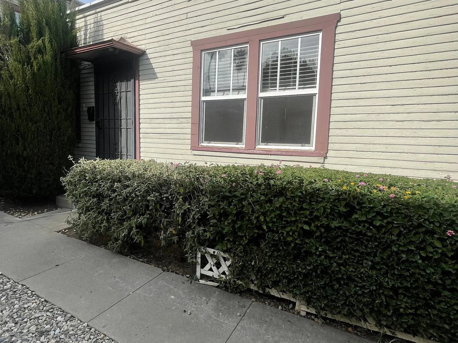 1 bed, 500 sqft, $1,900 — Photo 1