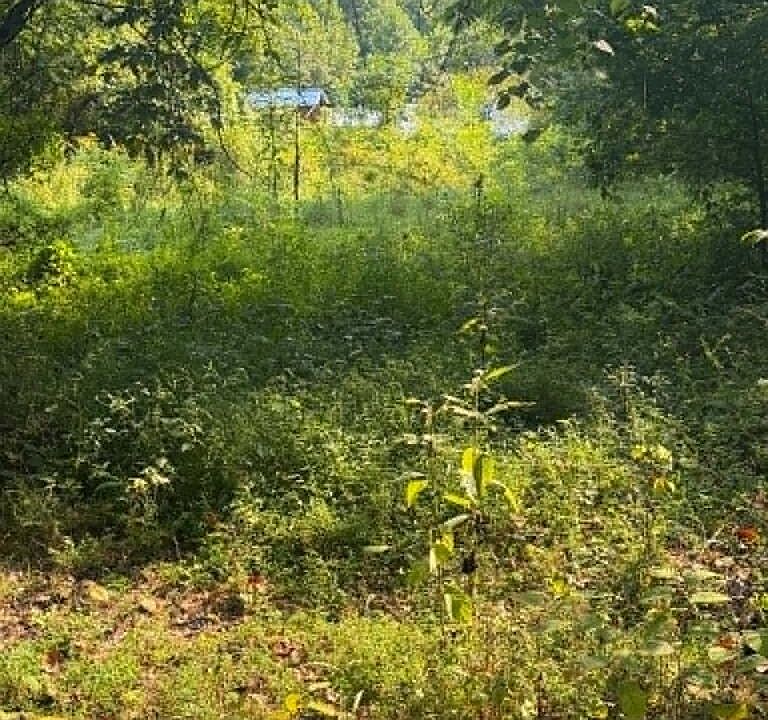 1st image of 0 Shop Br