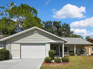 6517 Ocean Pines Ln, Spring Hill, FL 34606