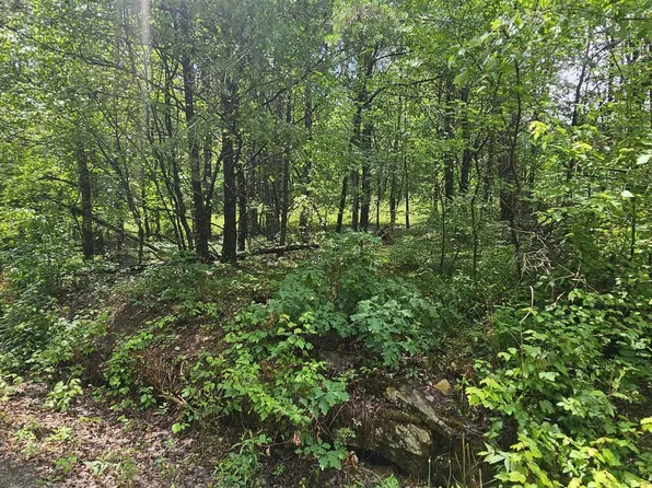 3/ACRE S County Road 106, Mentone, AL 35984