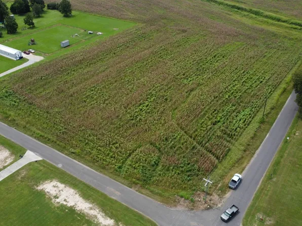 Tbd Bell Oil Rd, Elton, LA 70532