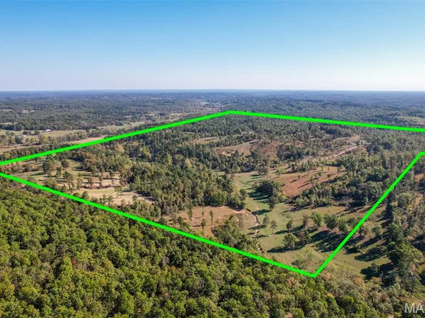 0 County Road 1130, Willow Springs, MO 65793