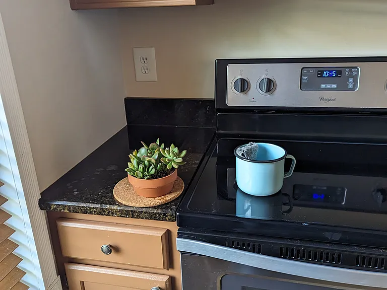 9758 Pleasant Gate Ln — Photo 14
