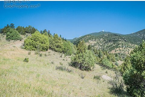 4th image of 970 Elk Ridge Ct
