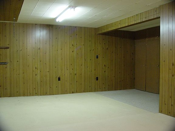 Basement Family Room