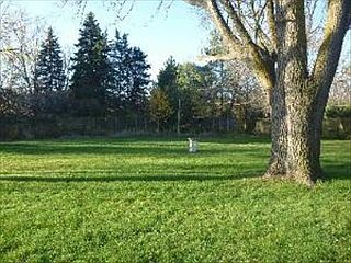 2nd image of 1009 Edward Rd