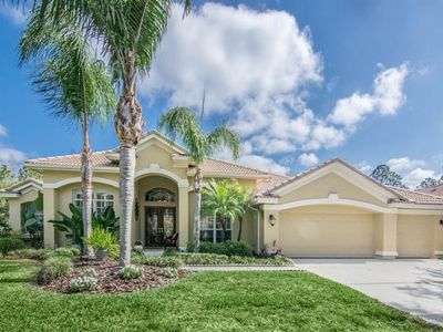 17816 Arbor Greene Dr, Tampa, FL, 33647