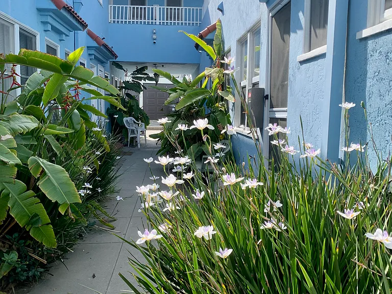 55 Roswell Ave #9 — Photo 5
