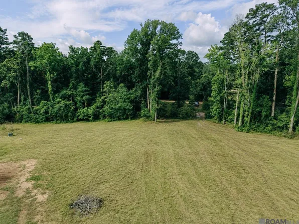 8637 Wildwood Dr, Denham Springs, LA 70706
