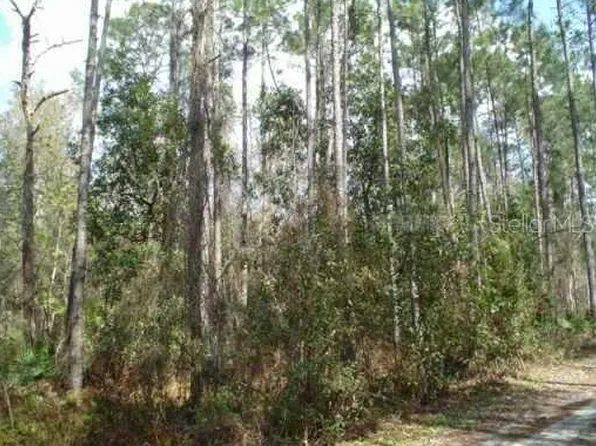 (undisclosed Address), Zephyrhills, FL 33544