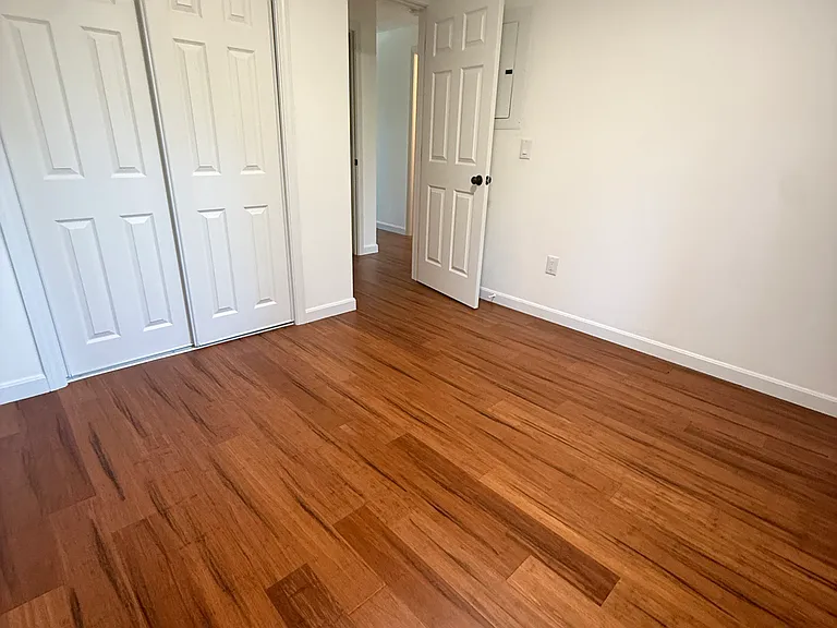 Bedroom #2 with double-sided closet