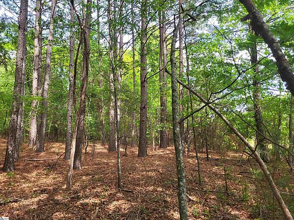 3rd image of 0 Love Springs Rd