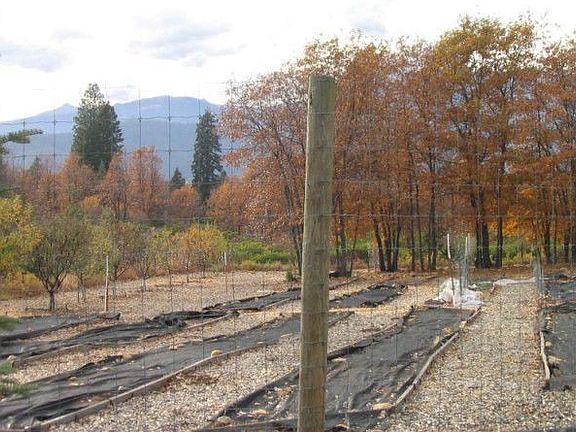 1/2 Acre garden and Mt Eddy View to West