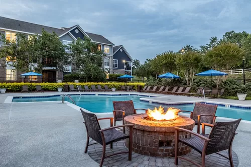Fire Pit with Cozy Seating - Bexley at Brier Creek