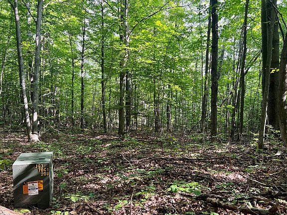4th image of Traverse Lake Trl