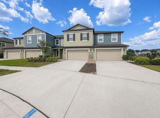 17696 Nectar Flume Dr, Land O Lakes, FL 34638