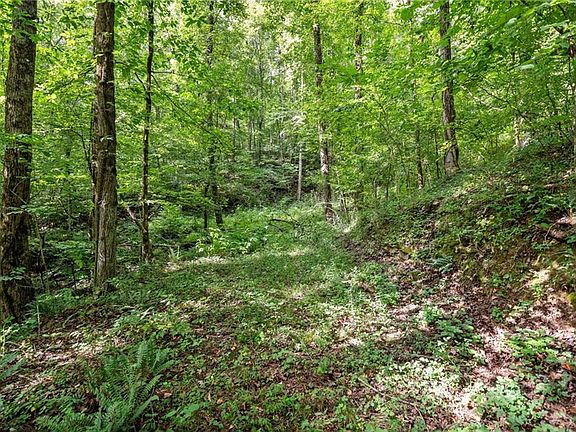 4th image of 3.11 Acres Cove Rd