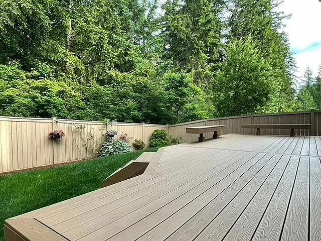 View of the Backyard