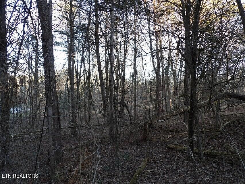 1st image of LOT 1060 Mountain View Ln