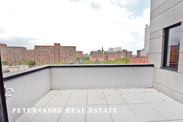 Rented by Peter Ashe | media 54