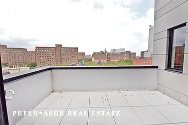 Rented by Peter Ashe