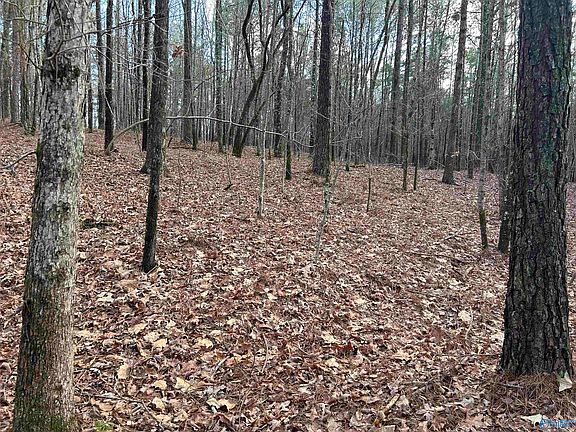 3rd image of 049.000 Glenn Gap Rd
