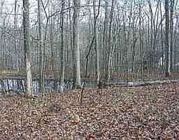1st image of Annandale Dr