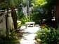 Luscious gardens!