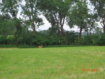 Dwyer Rd, Howell, MI, 48855