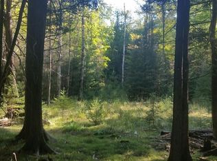 W5700 Pinewood Dr, Niagara, WI 54151