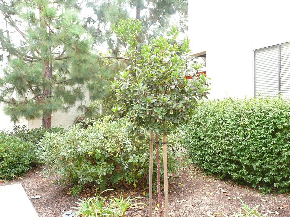 Lush Landscaping