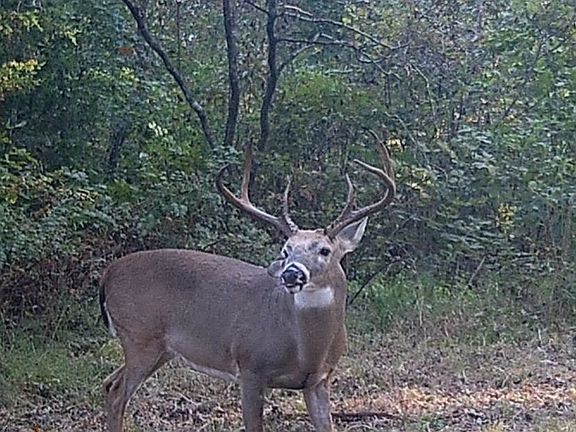 3rd image of 000 County Road 5150