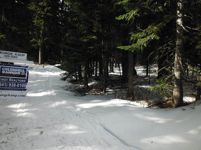 2nd image of 62393 Highway 204