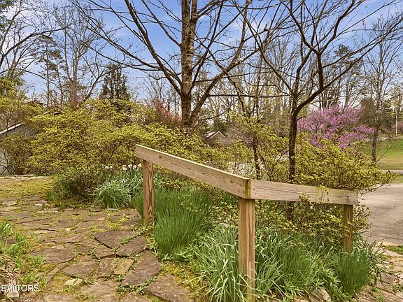 5th image of 107 Dale Rd