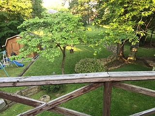 Back Yard
						:
						Deck, fire pit and outbuilding. Great area for entertaining with lots of shade.