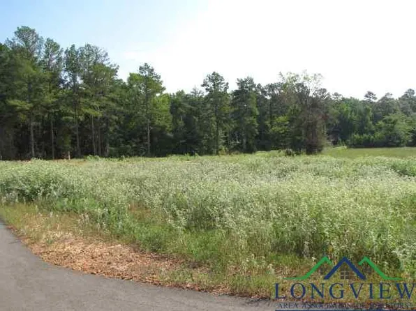 LOT 1 Block 3 Conifer Ln Lot 1, Henderson, TX 75654