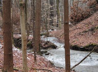 0 Ray Rd, Green Twp, PA 16134