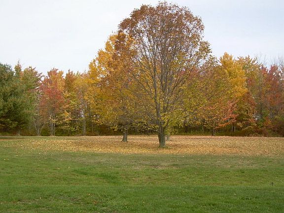 5th image of 1815 County Road 23