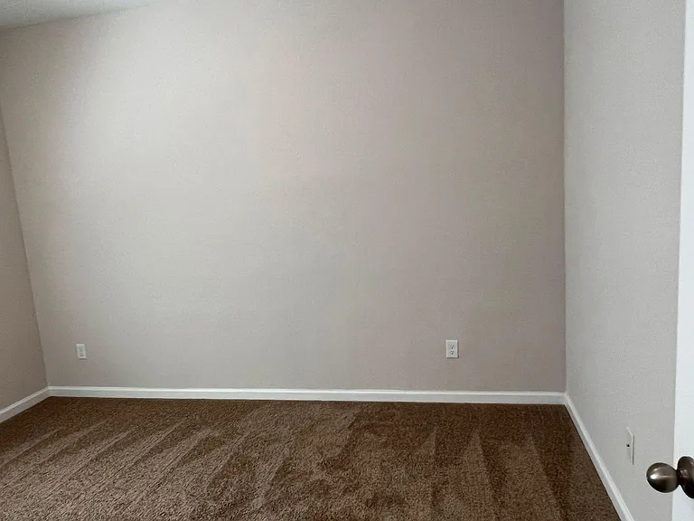 294 Wineberry Ln — Photo 11