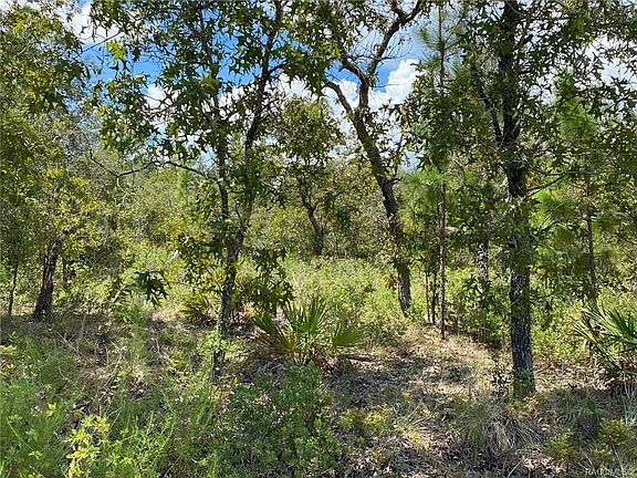 3rd image of 4348 N Amarillo Dr