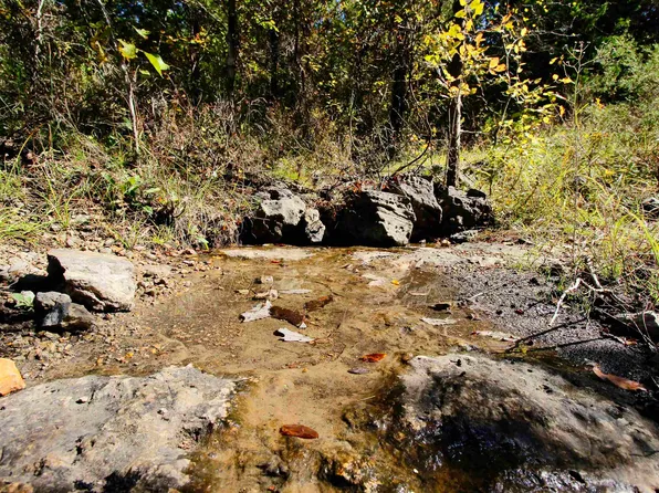 (undisclosed Address), Lead Hill, AR 72644
