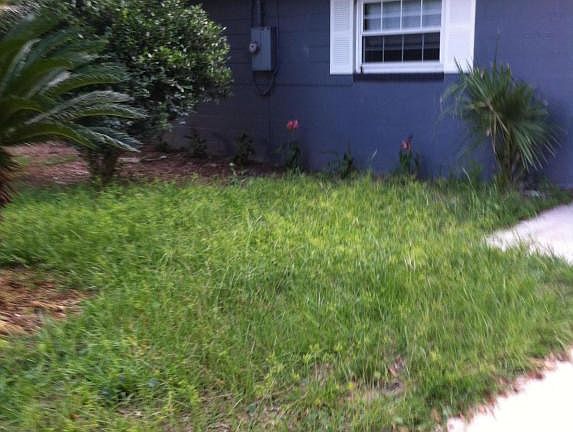 Closer view--LARGE SAGO