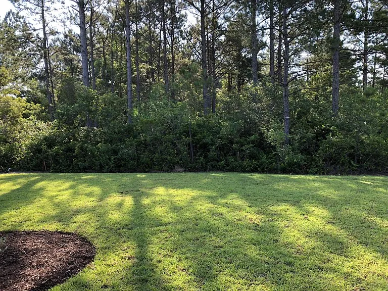 2800 Scarecrow Way — Photo 11