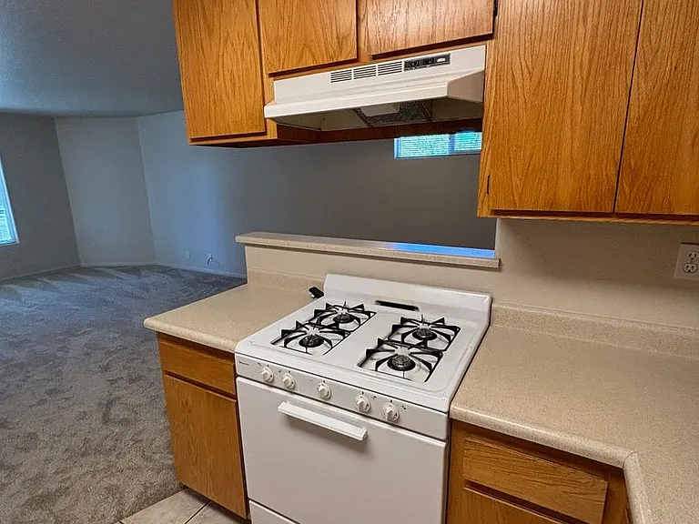 1732 Mount Olive Dr — Photo 5