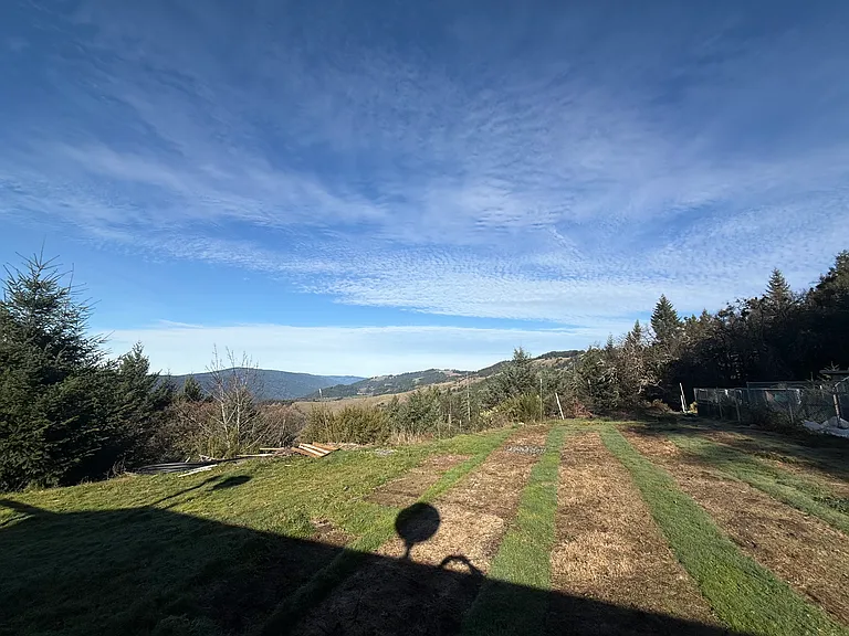 480 Sabertooth Rd — Photo 8