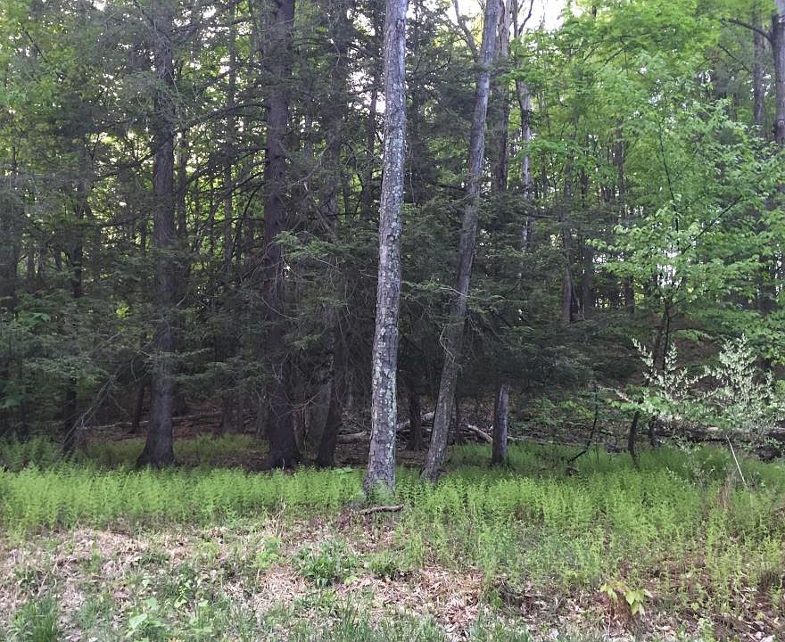 2nd image of 165 Lakeview Dr