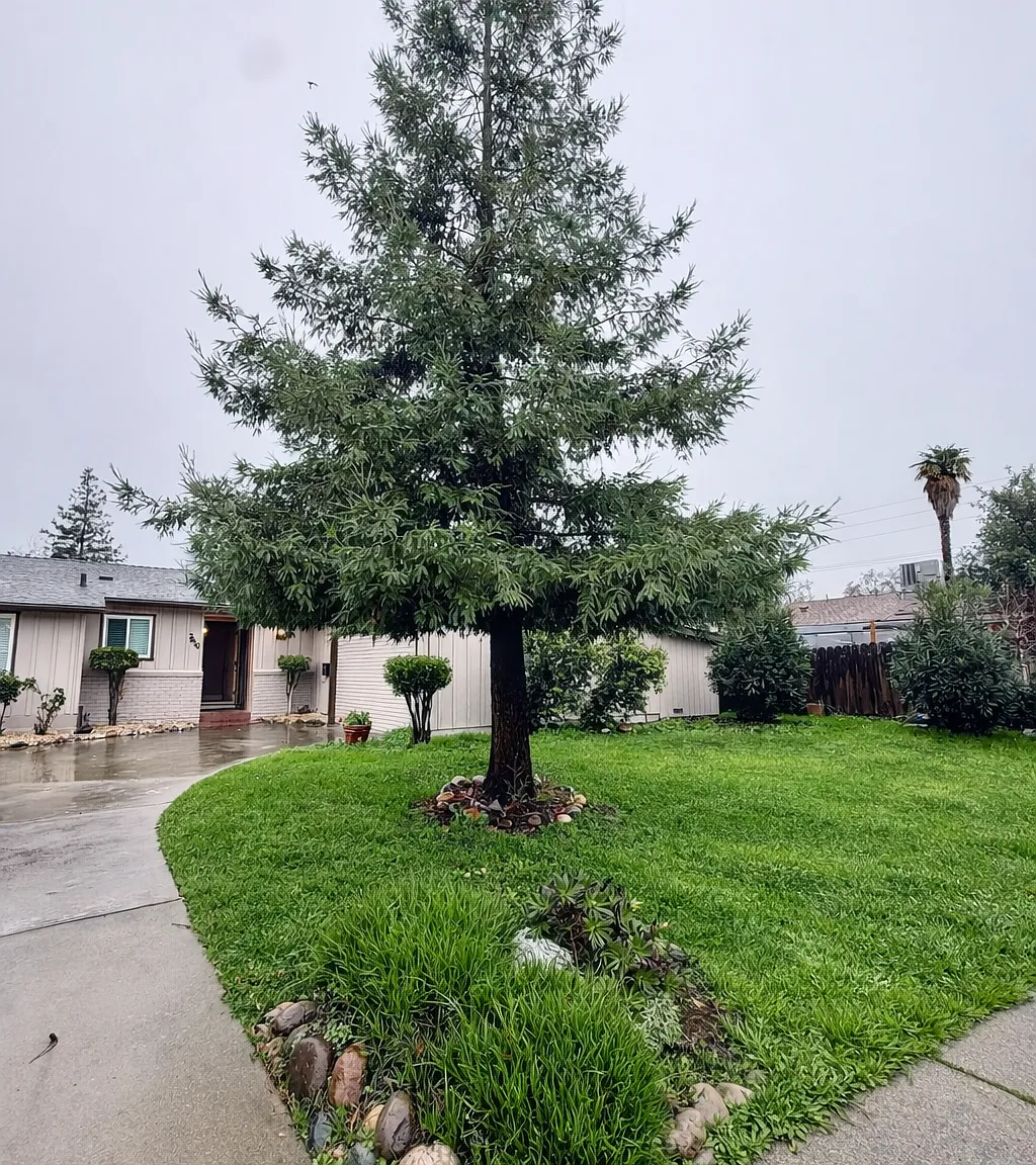 3 bed, 1168 sqft, $6,500 — Photo 1