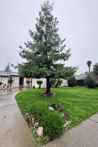 7910 Misty Ln Photo 1