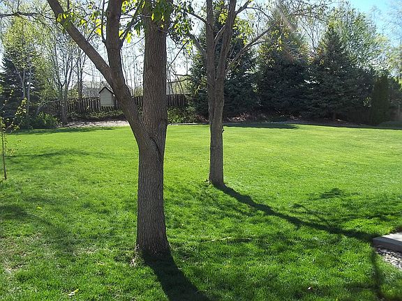 Backyard from South