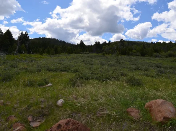 166 Meadow Vw, Philipsburg, MT 59858